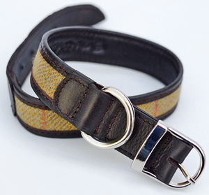 XL Tweed Dog Collar 